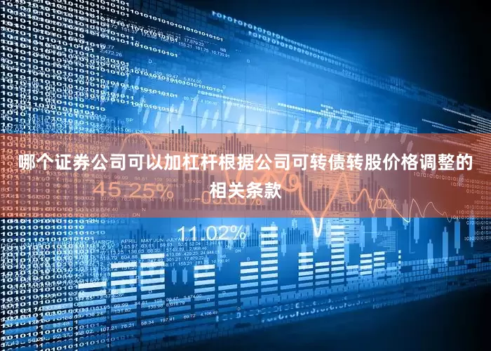 哪个证券公司可以加杠杆根据公司可转债转股价格调整的相关条款