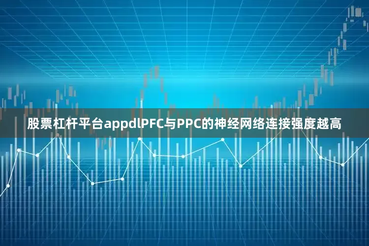 股票杠杆平台appdlPFC与PPC的神经网络连接强度越高