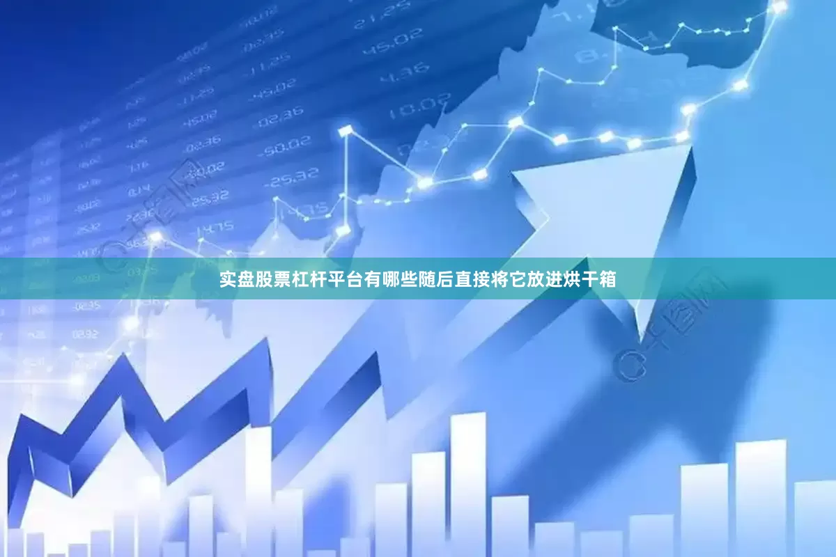实盘股票杠杆平台有哪些随后直接将它放进烘干箱