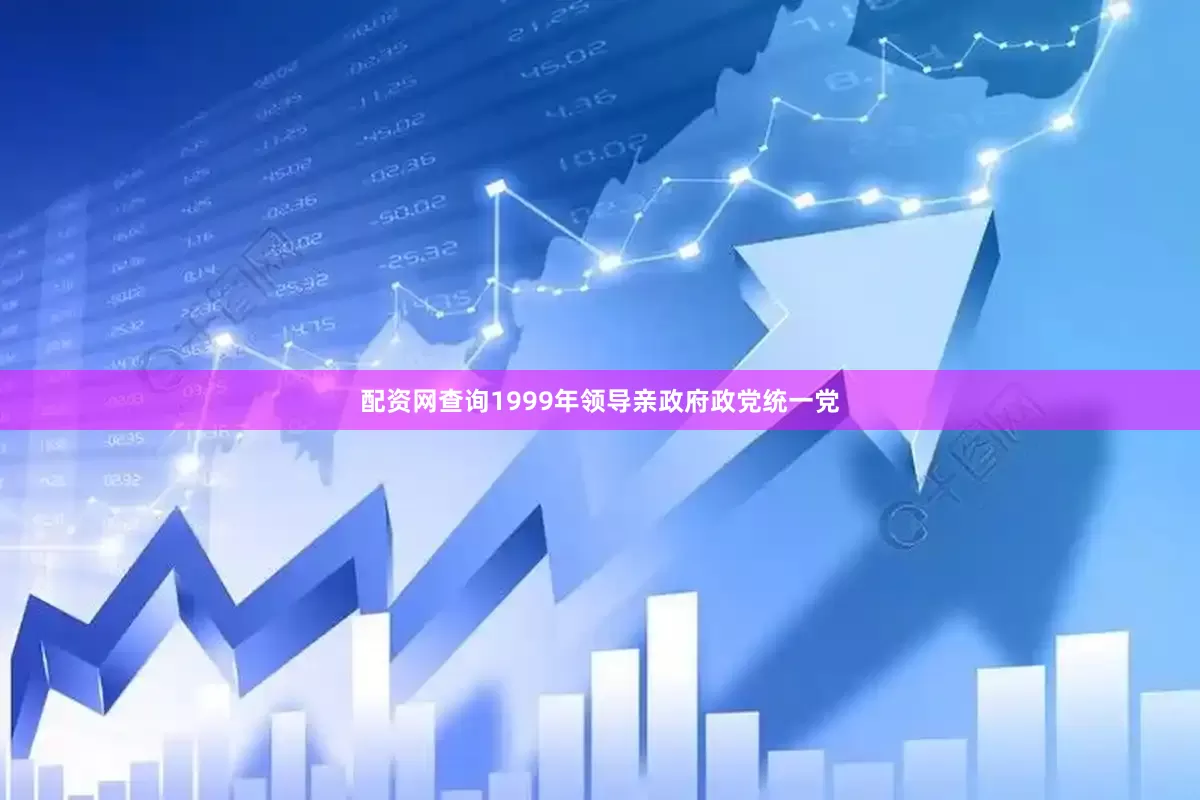 配资网查询1999年领导亲政府政党统一党