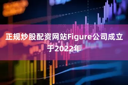 正规炒股配资网站Figure公司成立于2022年